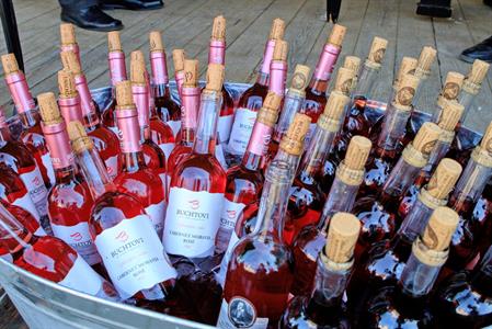  Víno a vinařstvi * Májové otevřené sklepy 2025: spousta vína, hudby, gastronomických specialit a jeden velký zážitek 