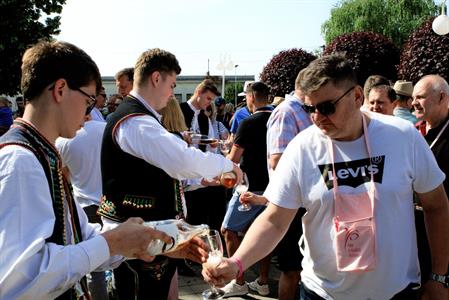  Víno a vinařstvi * Májové otevřené sklepy 2025: spousta vína, hudby, gastronomických specialit a jeden velký zážitek 
