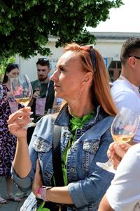 Víno a vinařstvi * Májové otevřené sklepy 2025: spousta vína, hudby, gastronomických specialit a jeden velký zážitek 