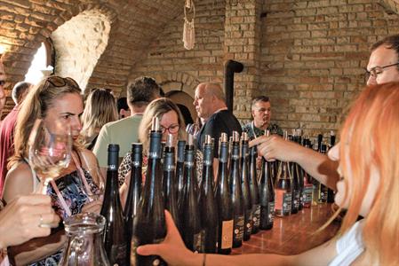  Víno a vinařstvi * Májové otevřené sklepy 2025: spousta vína, hudby, gastronomických specialit a jeden velký zážitek 