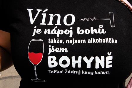  Víno a vinařstvi * Májové otevřené sklepy 2025: spousta vína, hudby, gastronomických specialit a jeden velký zážitek 