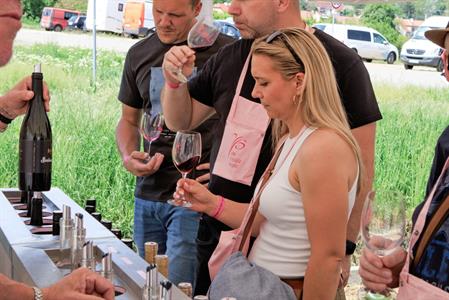  Víno a vinařstvi * Májové otevřené sklepy 2025: spousta vína, hudby, gastronomických specialit a jeden velký zážitek 