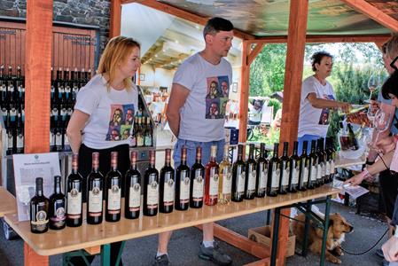 Víno a vinařstvi * Májové otevřené sklepy 2025: spousta vína, hudby, gastronomických specialit a jeden velký zážitek 