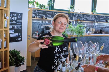  Víno a vinařstvi * Májové otevřené sklepy 2025: spousta vína, hudby, gastronomických specialit a jeden velký zážitek 