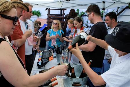  Víno a vinařstvi * Májové otevřené sklepy 2025: spousta vína, hudby, gastronomických specialit a jeden velký zážitek 