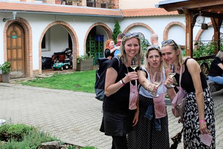  Víno a vinařstvi * Májové otevřené sklepy 2025: spousta vína, hudby, gastronomických specialit a jeden velký zážitek 