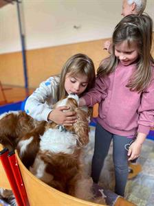 ZŠ * Canisterapie pro žáky 1. a 2. tříd: Zážitek plný radosti a učení