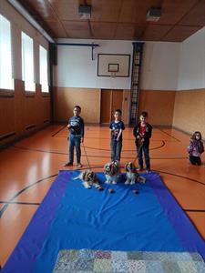 ZŠ * Canisterapie pro žáky 1. a 2. tříd: Zážitek plný radosti a učení