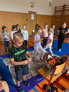 ZŠ * Canisterapie pro žáky 1. a 2. tříd: Zážitek plný radosti a učení
