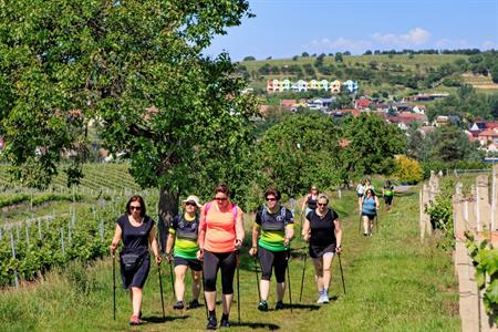 Sport * Celodenní nordic walking výlet po rozhlednách s Kačkou Fühafovou