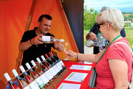 VOC vinice * Putování vinicemi za víny VOC 2025; 5. ročník