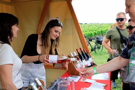 VOC vinice * Putování vinicemi za víny VOC 2025; 5. ročník