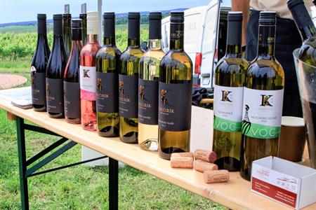 VOC vinice * Putování vinicemi za víny VOC 2025; 5. ročník
