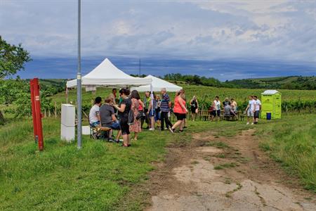 VOC vinice * Putování vinicemi za víny VOC 2025; 5. ročník