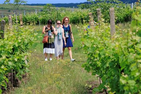 VOC vinice * Putování vinicemi za víny VOC 2025; 5. ročník