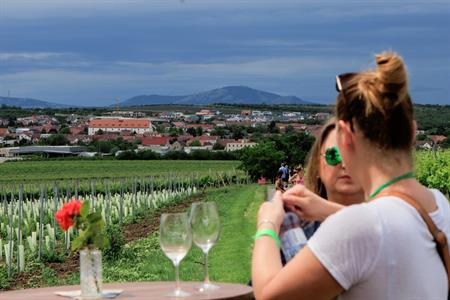 VOC vinice * Putování vinicemi za víny VOC 2025; 5. ročník