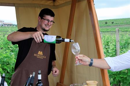 VOC vinice * Putování vinicemi za víny VOC 2025; 5. ročník