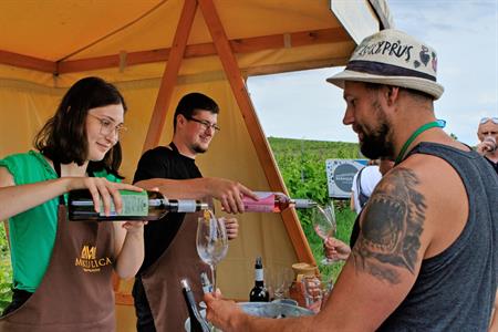 VOC vinice * Putování vinicemi za víny VOC 2025; 5. ročník
