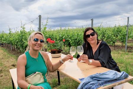VOC vinice * Putování vinicemi za víny VOC 2025; 5. ročník