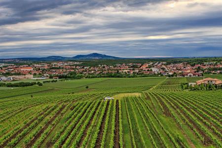 VOC vinice * Putování vinicemi za víny VOC 2025; 5. ročník
