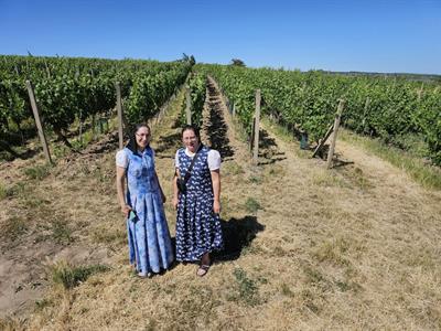 Víno & Vinařství * Do Habánského sklepa Vinařství Lacina zavítali Habáni z Kanady