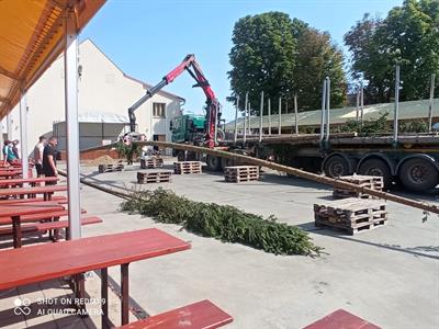 Kultura & folklor * HODY 2025 - Přivezení hodovní máje do města
