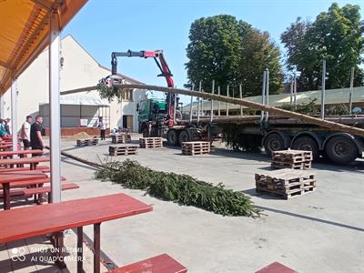 Kultura & folklor * HODY 2025 - Přivezení hodovní máje do města