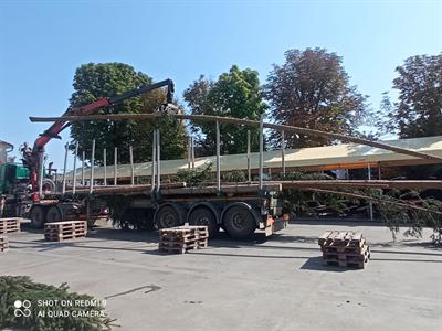 Kultura & folklor * HODY 2025 - Přivezení hodovní máje do města