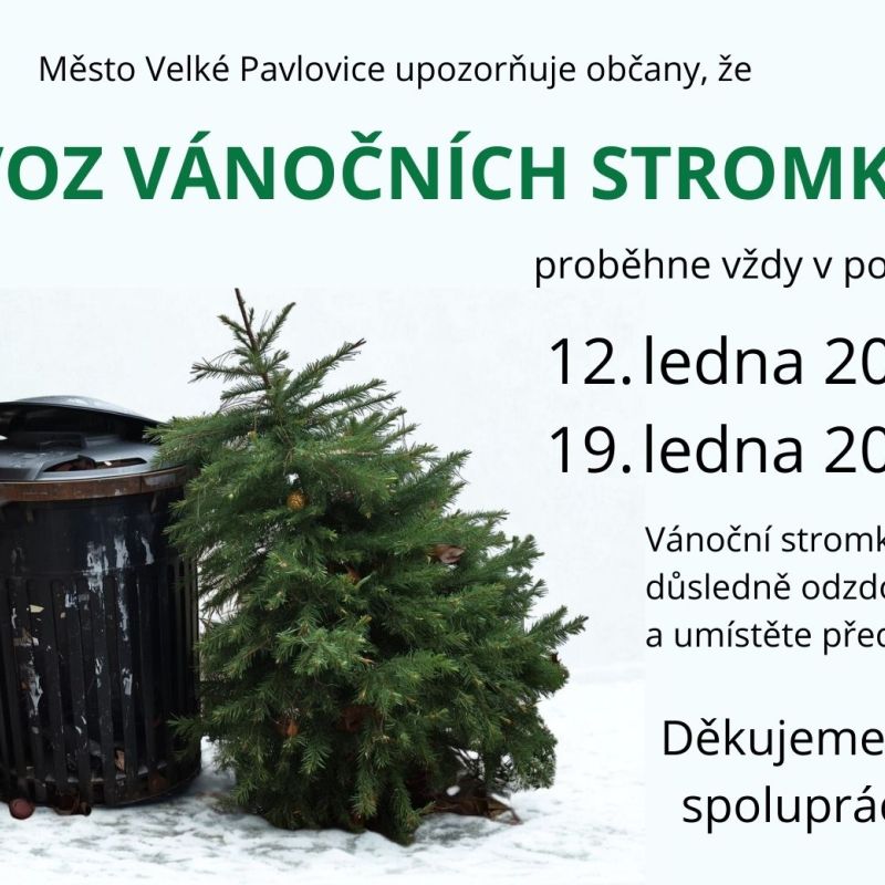 Svoz vánočních stromků. Vždy v pondělí