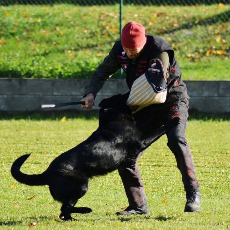 Zkoušky z výkonu psů ve Velkých Pavlovicích