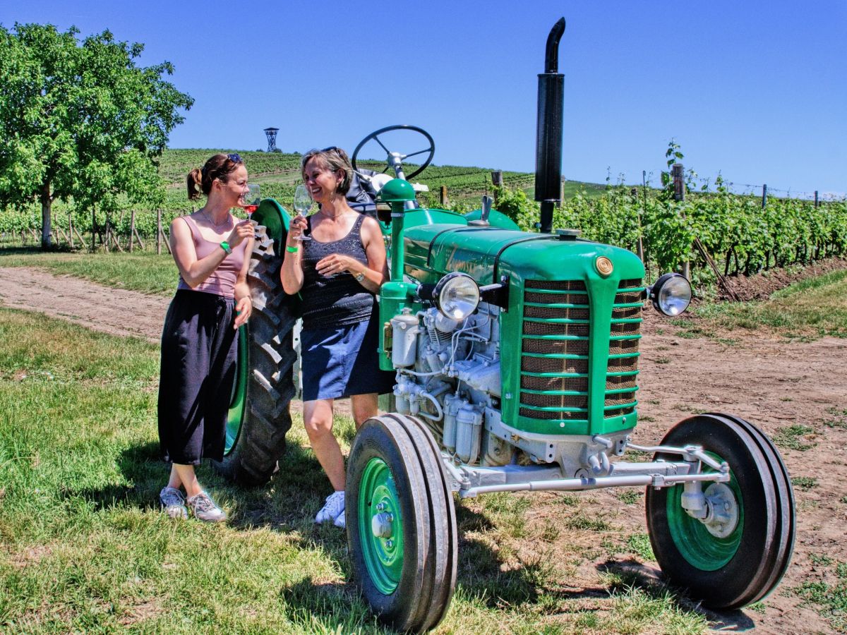Letošní Putování vinicemi za víny VOC? Sluncem prozářená pohoda