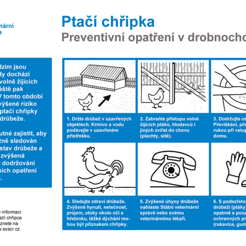 Potvrzená nákaza ptačí chřipky v regionu: informace a doporučení pro chovatele