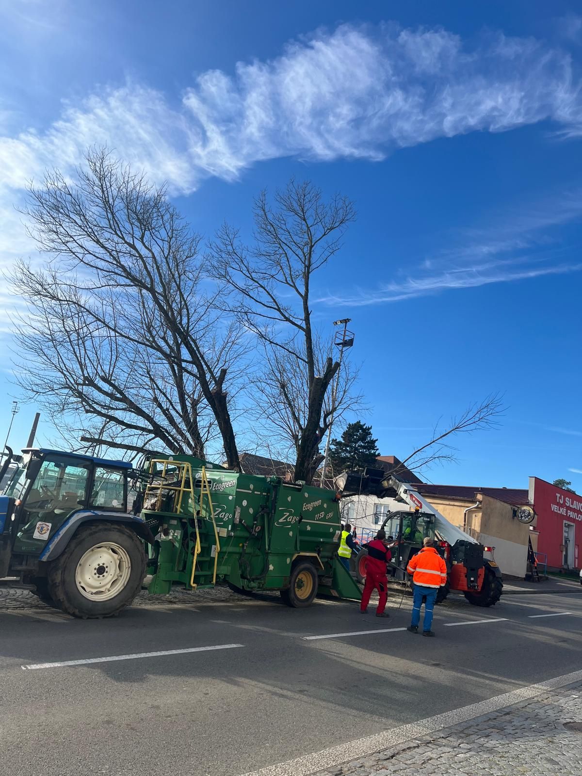Ořez náletových dřevin