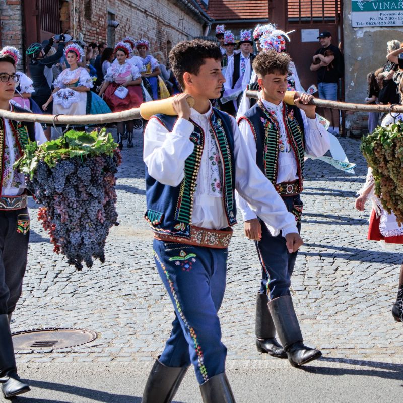 VELKOPAVLOVICKÉ VINOBRANÍ roku 2026 úspěšně za námi. Děkujeme, že jste přišli!