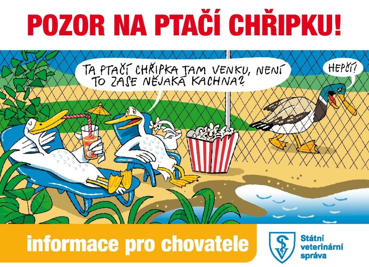 Upozornění Krajské veterinární správy JmK - ptačí chřipka a Newcastleská choroba