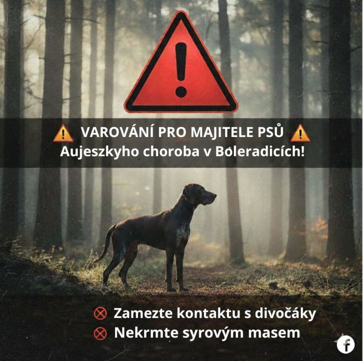  VAROVÁNÍ PRO MAJITELE PSŮ: Aujeszkyho choroba prokázána v Boleradicích!