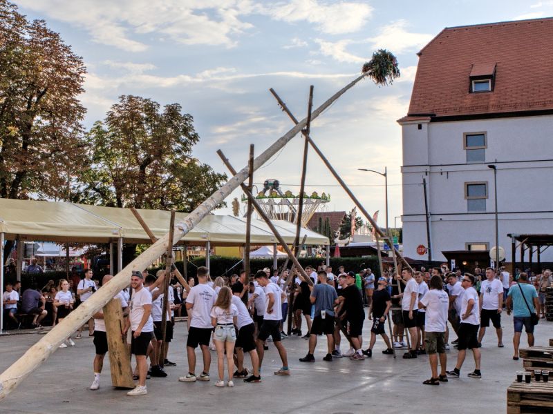 RUČNÍ STAVĚNÍ MÁJE pro krojované hody roku 2026