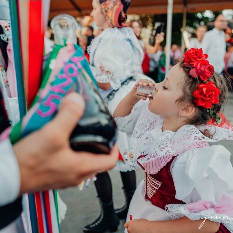 Hodovní veselí roku 2025 ve fotografiích Jaromíra Šauera