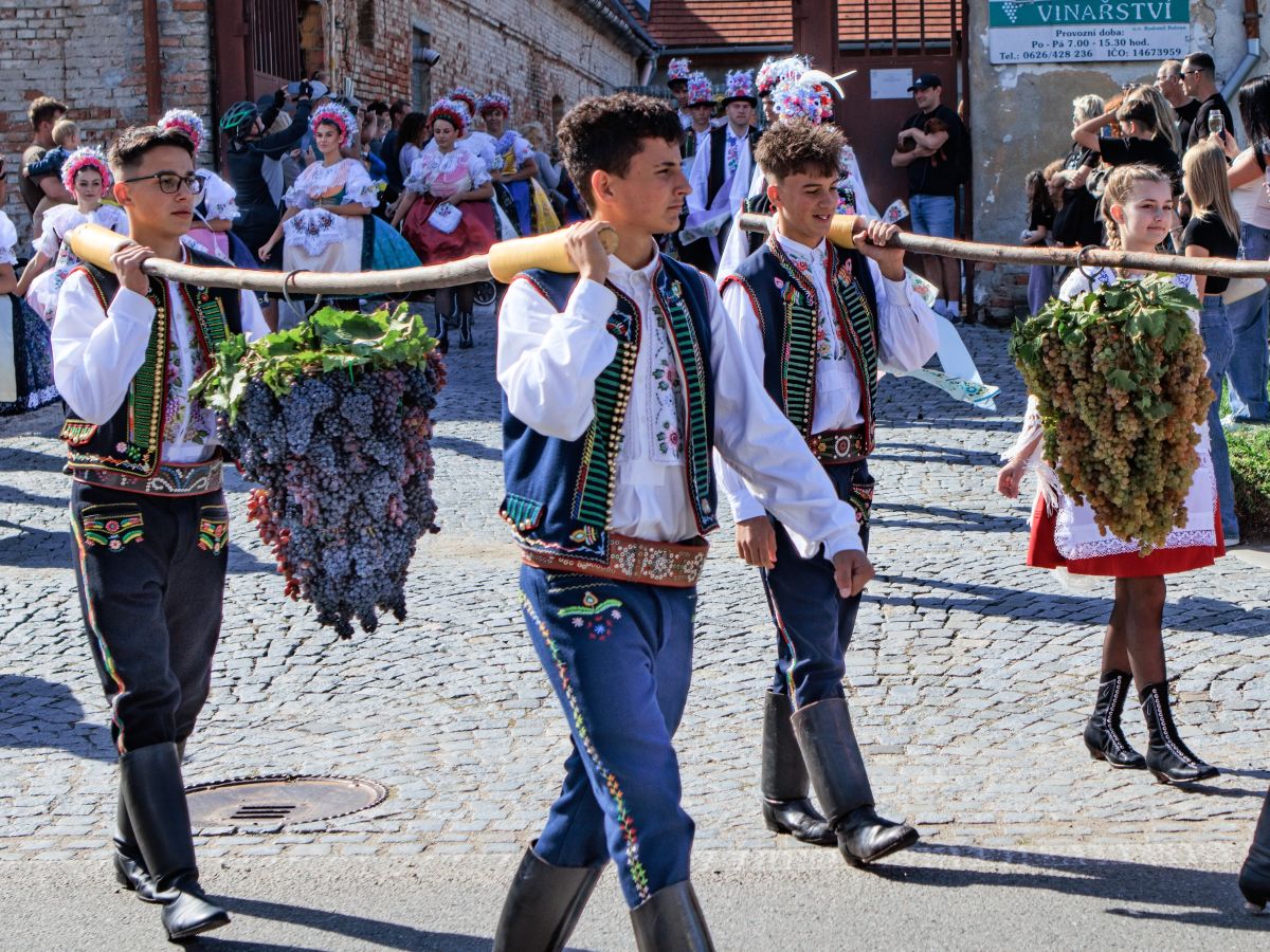 VELKOPAVLOVICKÉ VINOBRANÍ roku 2026 úspěšně za námi. Děkujeme, že jste přišli!