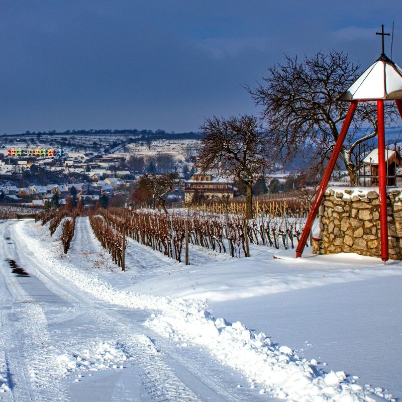 Když krajina utichne pod bílým sametem