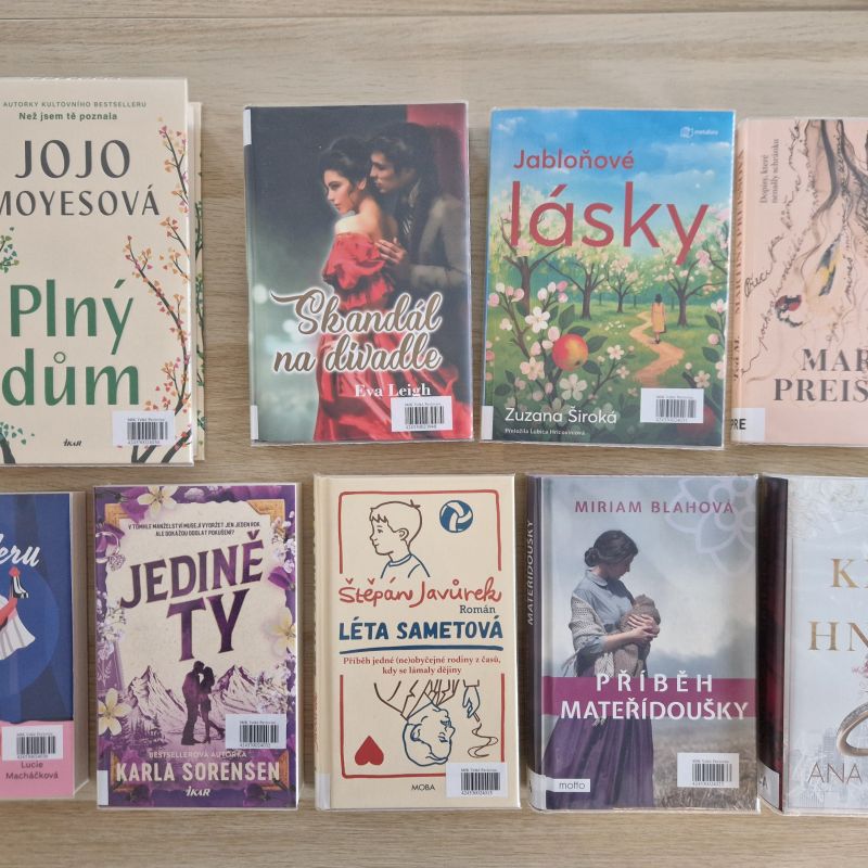 Plný dům – realita knihovny, ale i novinka v regálu