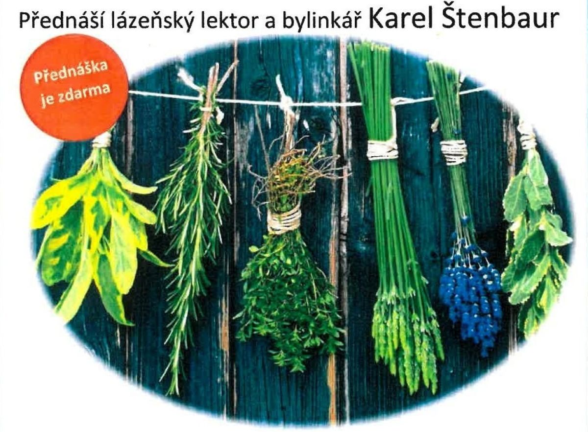 Objevte sílu bylinek a přírodní péče o zdraví!