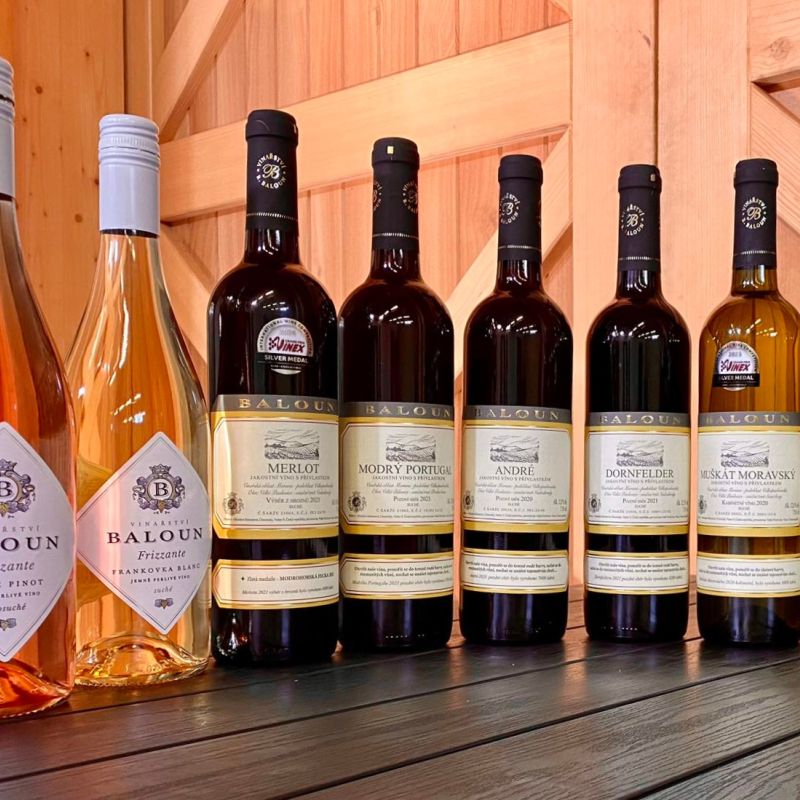 Napsali o nás v Břeclavském deníku: Mysleli, že jsme jen pivaři, řekl vinař z Břeclavska. V Itálii získal tři zlata